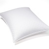 Hudson Park Ultra Clean Soft Down Standard Pillow