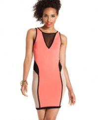 Baby Phat brings sexy back with a body-hugging colorblock dress that sports a collection of sheer mesh insets!