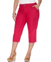 Stock up on basics for spring with Style&co.'s plus size capri jeans-- they're available in the season's hottest colors!