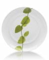 Forever spring. Bright new leaves plucked just for your table drape this salad plate for a fresh, modern look. From Mikasa dinnerware, the dishes of this Daylight set are durable and stylish in white porcelain with a uniquely sloped rim and raised interior.