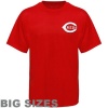 Cincinnati Reds Big & Tall Official Wordmark T-Shirt
