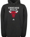 NBA Chicago Bulls Primary Logo Hoodie