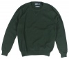 Polo Ralph Lauren Men's Cotton Crewneck Pullover Sweater (Small, Regent Green)