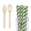 Dress My Cupcake Wooden Cutlery Forks/Spoons with Paper Straws Party Bundle, Forest Green Striped, Set of 25