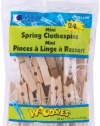 Mini Spring Clothespins 1 3/4-24/Pkg