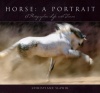 Horse, a Portrait: A Photographer's Life With Horses