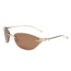 Dasion Rimless Sunglasses Trend Sunglasses Fashion Leopard