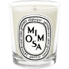 Diptyque Mimosa Candle 190 g/6.5 oz