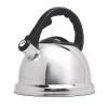Primula Safe-T Stainless Steel Whistling Tea Kettle