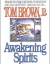 Awakening Spirits: A Native American Path to Inner Peace, Healing, and Spiritual Growth (Religion and Spirituality)