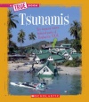 Tsunamis (True Books: Earth Science (Paperback))