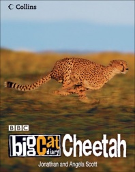 Cheetah (Big Cat Diary)