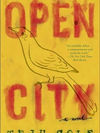 Open City: A Novel